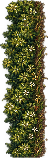 edge-hedge