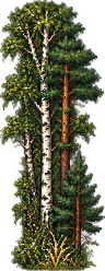 edge-trees