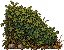 end-hedge