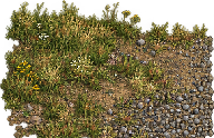 join-grass